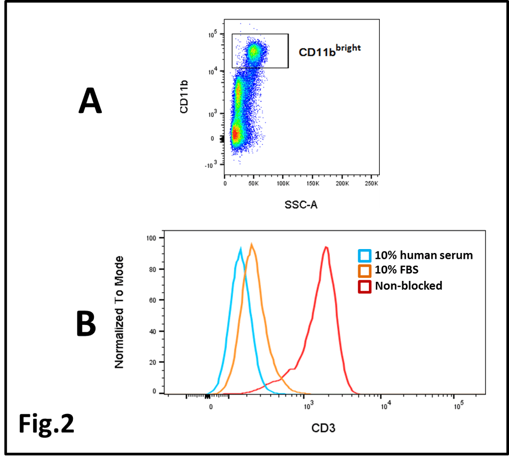 Blocking Fc receptors for flow cytometry